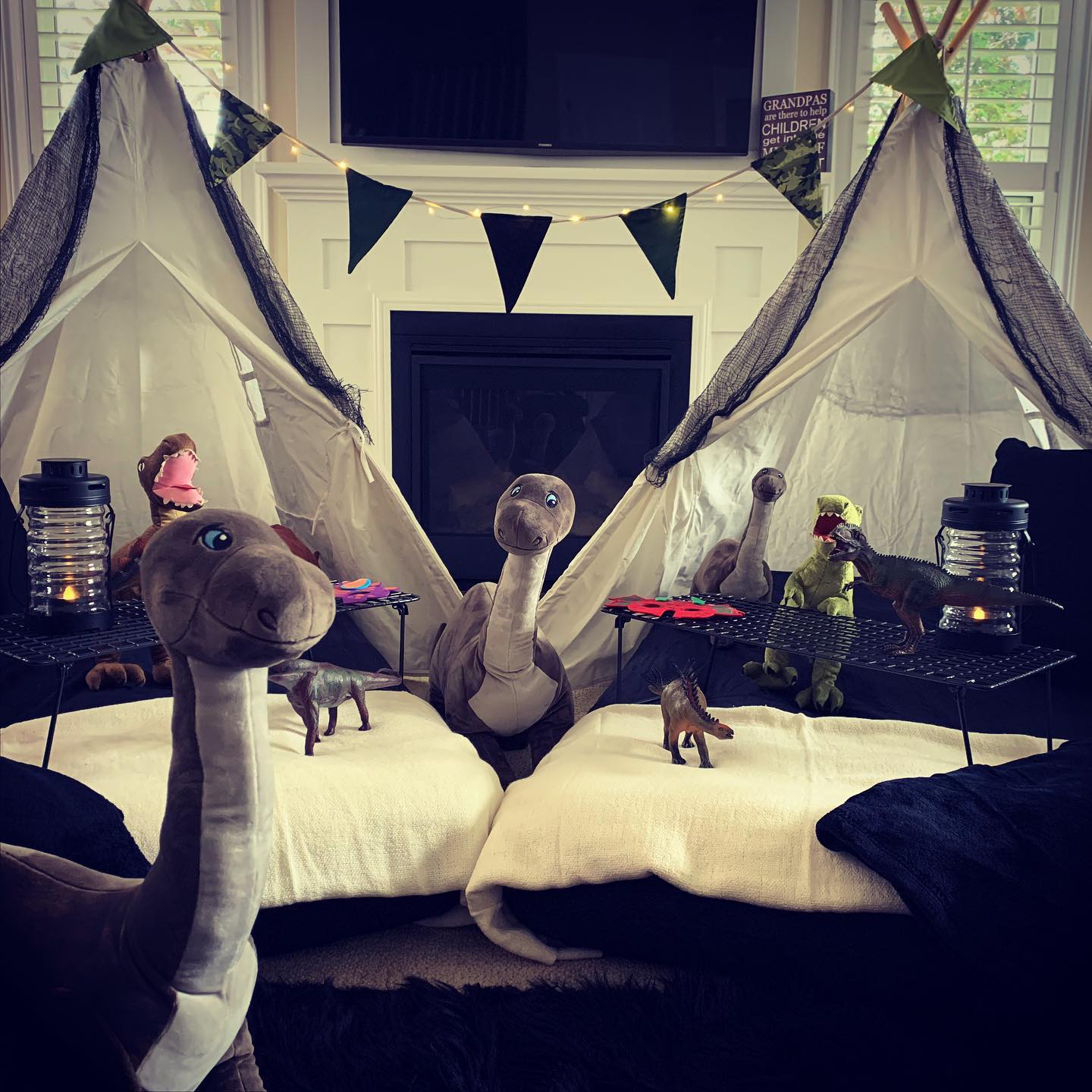 Dinosaur Theme