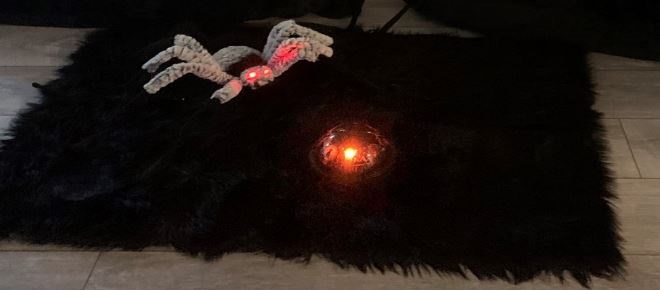 Halloween Theme